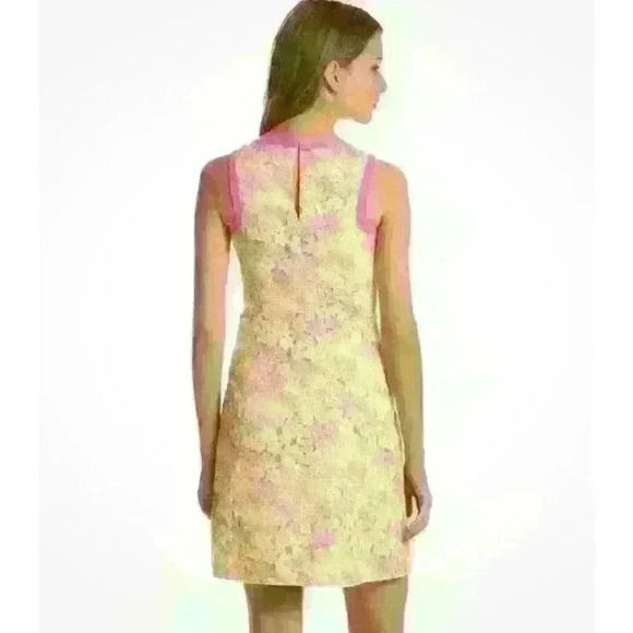 Lilly Pulitzer Percy Floral Sunbonnet Flower Eyelet Lace Shift Dress Size 4 - Picture 2 of 13